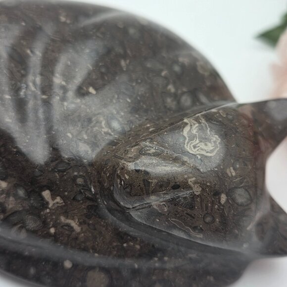 Black Sleeping Cat Kitty Natural Carved Fossil Stone Pakistan - Picture 9 of 12